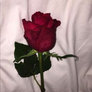 Meet your Posher, Lorena